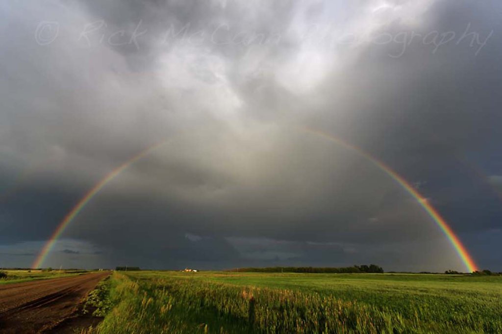 Over the Rainbow